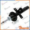 Amortisseur de suspension arrière pour FORD | A-FR-042, 16431